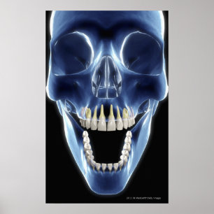 X-ray style look at human teeth poster