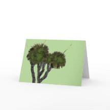 Xanthorrhoe auf grün