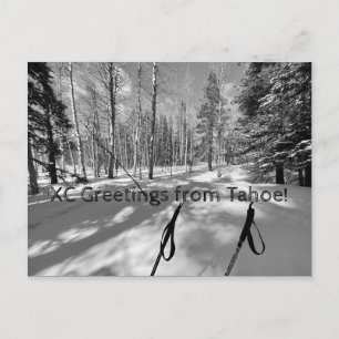 XC Grüße von Tahoe! Postkarte