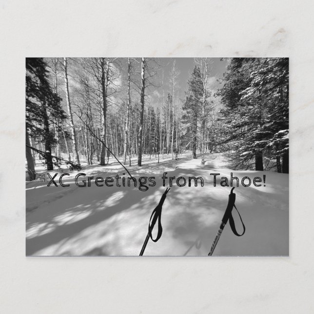 XC Grüße von Tahoe! Postkarte (Vorderseite)