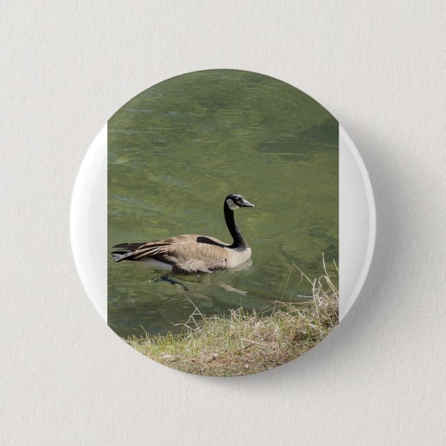 xcvdvdf button (Vorderseite)
