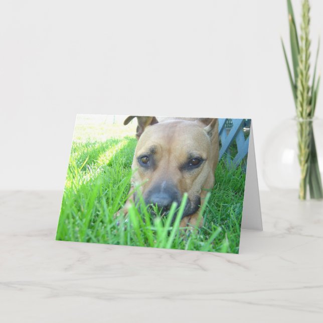 Xena in der Karte (Vorderseite)