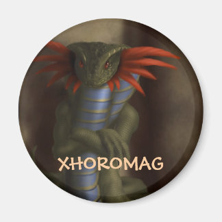 Xhoromag 17 magnet