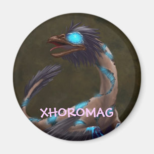 Xhoromag 19 magnet