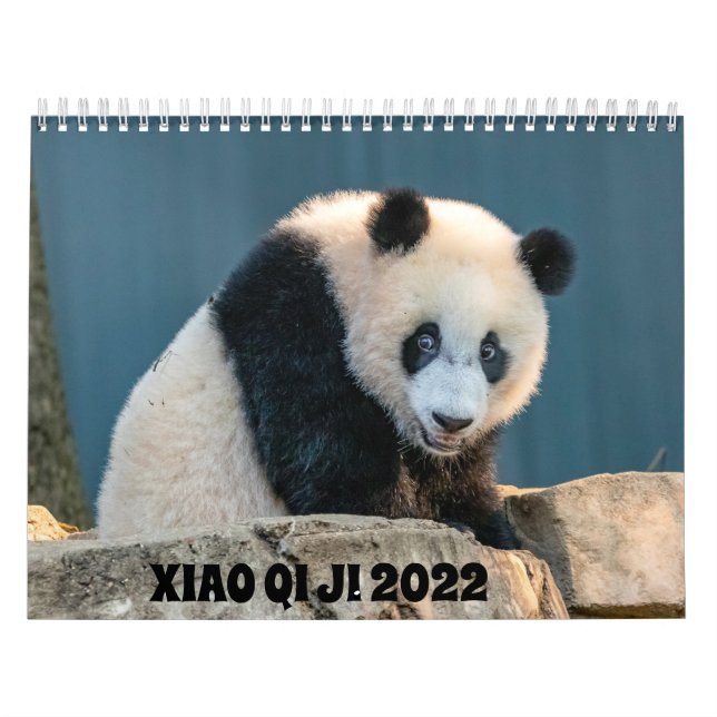 Xiao Qi Ji 2022 Kalender (Titelbild)