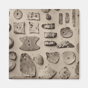 XII Muschel-Ornamente, also Kalifornien Magnet