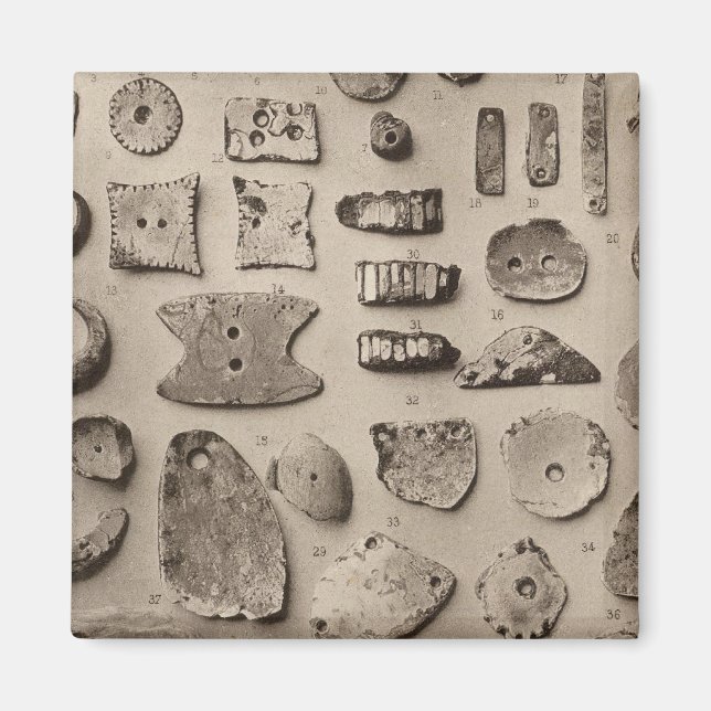 XII Muschel-Ornamente, also Kalifornien Magnet (Vorne)