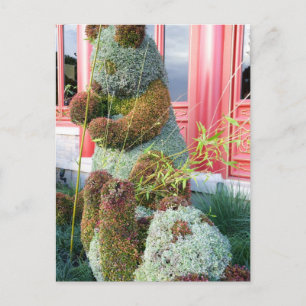 Xiong Mao Postkarte