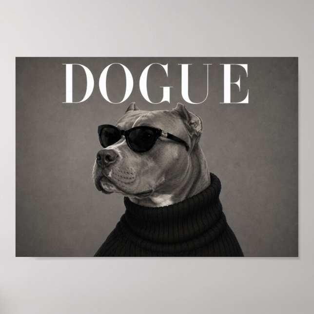XL American Bully Mode-Editorial-Hunde-Kunstprint Poster (Vorne)
