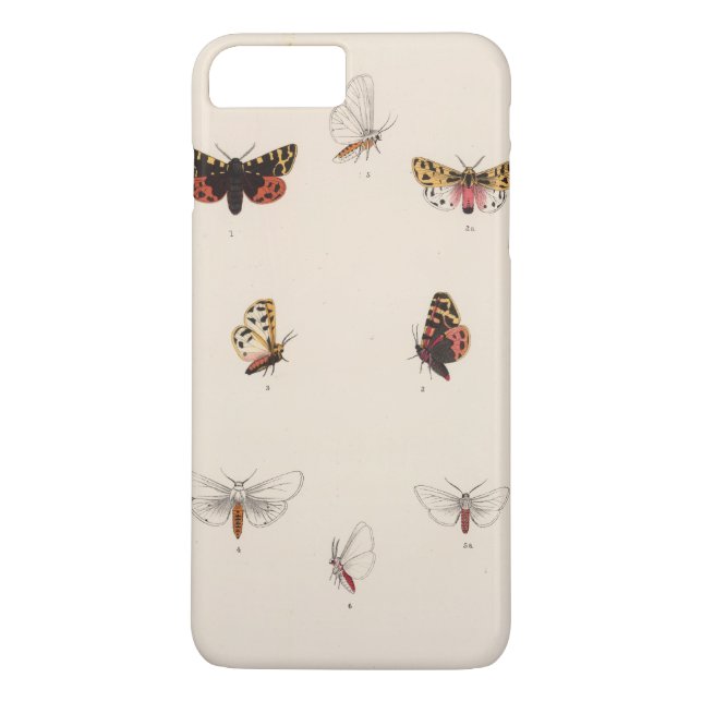 XL Arctia, Leucarctia, Euchaetes Case-Mate iPhone Hülle (Rückseite)