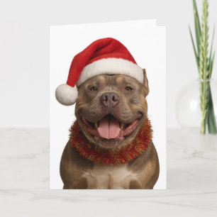 XL Bully mit Santa-Hut Weihnachtskarte Karte