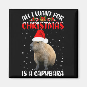 Xmas-Beleuchtung Santa Alles, was ich zu Weihnacht Magnet