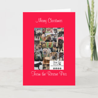 xmas card_cr, frohe WeihnachtenVon den Rettungspei Feiertagskarte