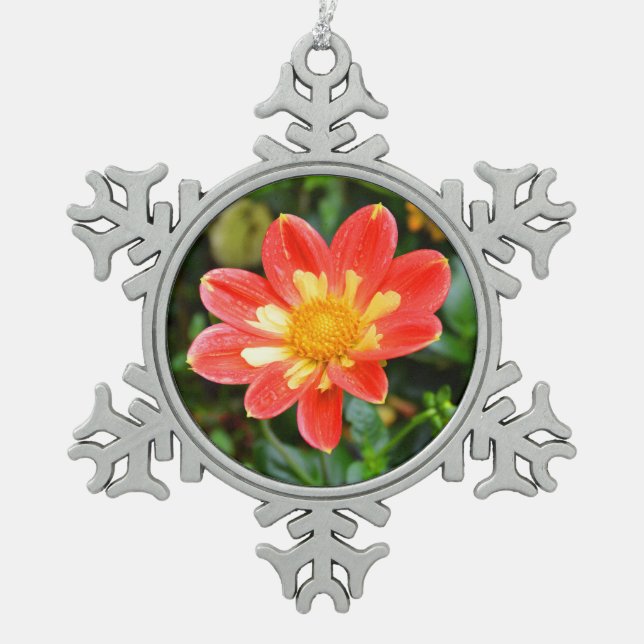 Xmas Dahlia Blume Schneeflocken Zinn-Ornament (Vorderseite)