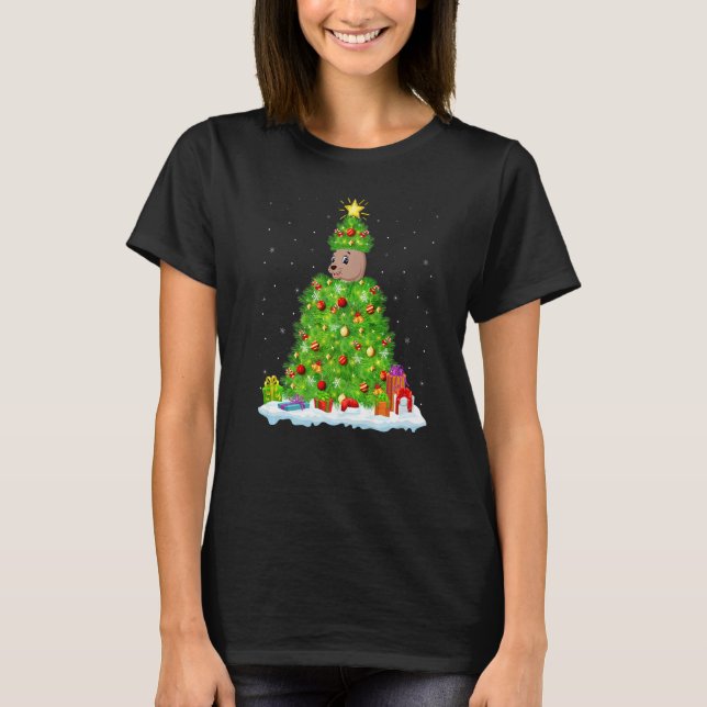 Xmas Decorations Lights Santa Sea Lion Christmas T T-Shirt (Vorderseite)