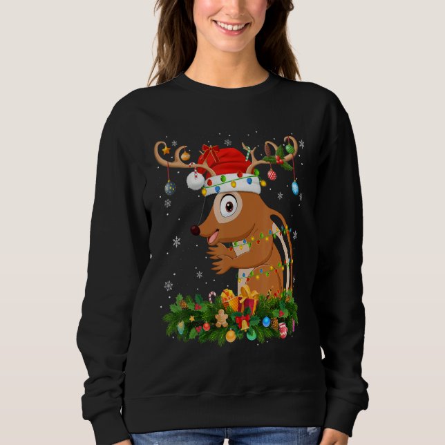 Xmas Holiday Reindeer Hat Santa Chipmunk Christmas Sweatshirt (Vorderseite)