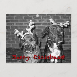 xmas Karte rekontrastieren, Frohe Weihnachten!!,..