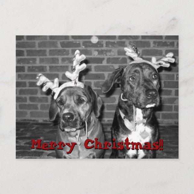 xmas Karte rekontrastieren, Frohe Weihnachten!!,.. (Vorderseite)