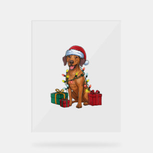Xmas Lighting Santa Rhodesian Ridgeback Dog Christ Acrylschild