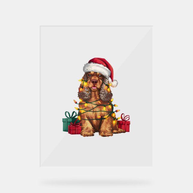 Xmas Lighting Weihnachtsmannmütze Cocker Spaniel D Acrylschild (Vorderseite)