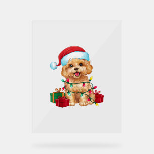 Xmas Lighting Weihnachtsmannmütze Maltipoo Dog Wei Acrylschild