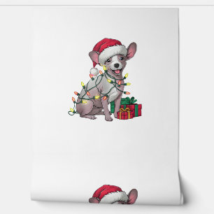 Xmas Lighting Weihnachtsmannmütze Mexican Hairless Tapete