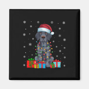 Xmas Lights Santa German Kurzhaarige Pointer Dog C Magnet