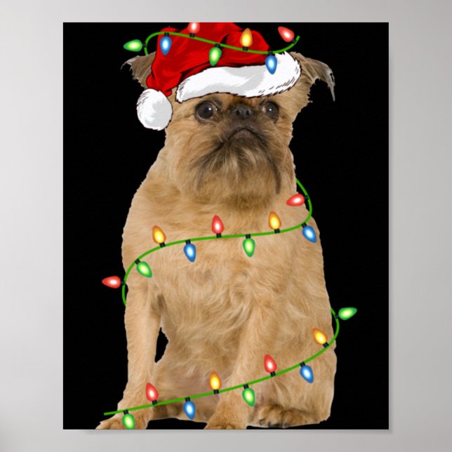 Xmas Lights Santa Hat Brussels Griffon Dog Christm Poster (Vorne)
