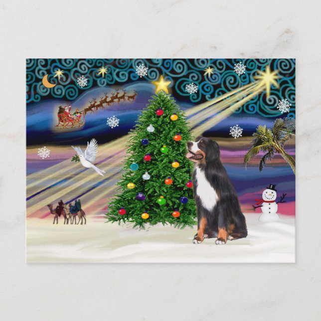 Xmas Magic-Bernese-Hund Feiertagspostkarte (Vorderseite)