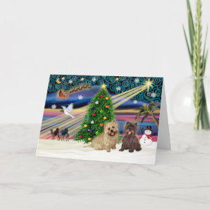 Xmas Magic-Cairn Pair Wheatn+Blinde Feiertagskarte