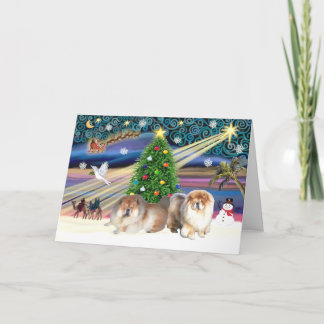Xmas Magic-Chow Paar Feiertagskarte
