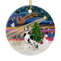 Xmas Magic - Harlequin Deutsche Dogge