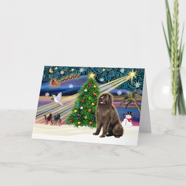 Xmas Magic-Newfie-Brownsit Feiertagskarte (Vorderseite)
