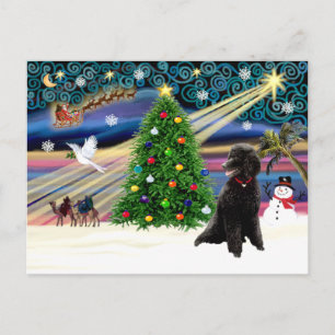 Xmas Magic-Poodle-Std.-schwarz Feiertagspostkarte