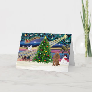 Xmas Magic-Poodle-Toy-Apricot Feiertagskarte