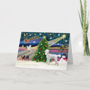 Xmas Magic-Pudel-Std-Wht Feiertagskarte