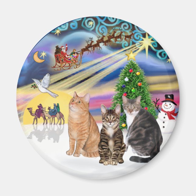 Xmas Magic (R) - Drei Katzen (AmSH) Magnet (Vorne)