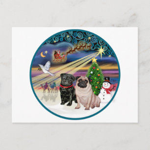 Xmas Magic (R) - Zwei Möpse (F + S) Feiertagspostkarte