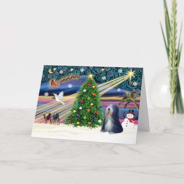 Xmas Magic-Tibetan Terrier (BW) Feiertagskarte (Vorderseite)