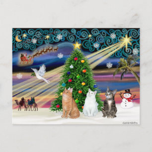 Xmas-Magie - 3 Katzen (2 getigerte - weiß) Feiertagspostkarte