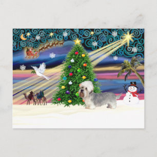 Xmas-Magie-Dandi Dinmont grau Feiertagspostkarte