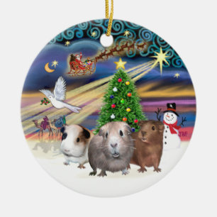 Xmas Magie - Drei Guinea Schweine Keramik Ornament