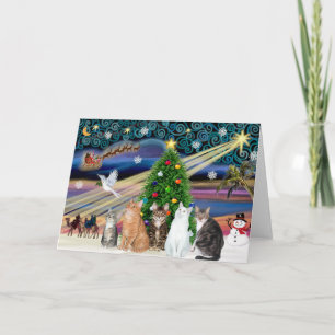 Xmas-Magie - Fünf Katzen (AmSH) Feiertagskarte