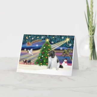 Xmas-Magie-Newfie-Landseersit Feiertagskarte