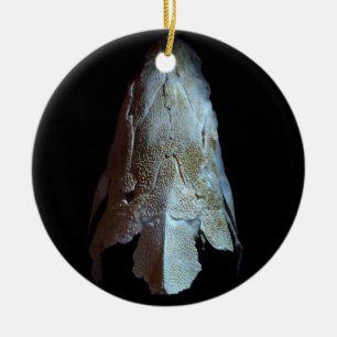 >XMAS ORNAMENT-STURGEON FISH-SKULL/HEAD KERAMIK ORNAMENT
