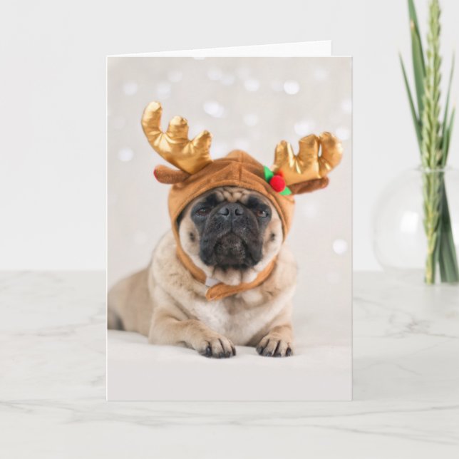 Xmas Pug Feiertagskarte (Vorderseite)