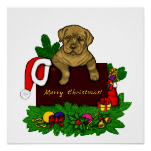XMas Puppy Poster
