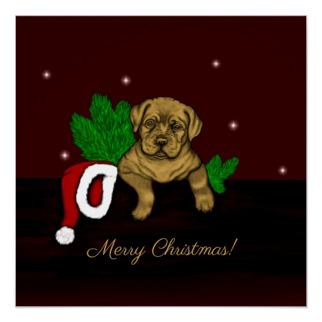 XMas Puppy Poster (Vorderseite)