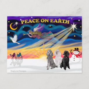 Xmas-Sonnenaufgang - Drei Königspudel Feiertagspostkarte
