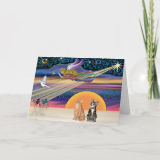 Xmas Star - Braune und orangefarbene Tabby Katzen Feiertagskarte